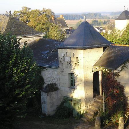 Bed and Breakfast Manoir De Boisairault Le Coudray-Macouard Zewnętrze zdjęcie