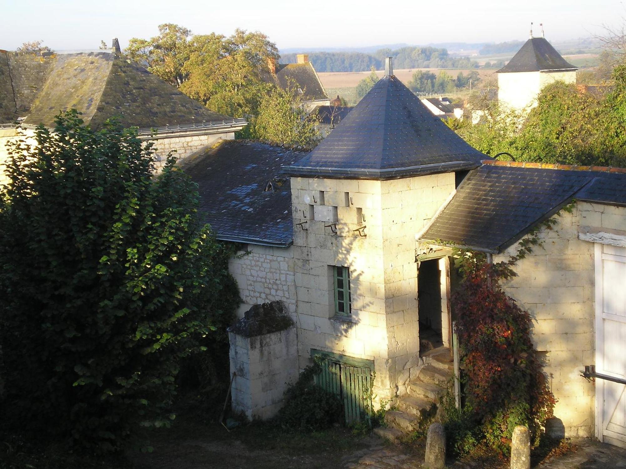 Bed and Breakfast Manoir De Boisairault Le Coudray-Macouard Zewnętrze zdjęcie