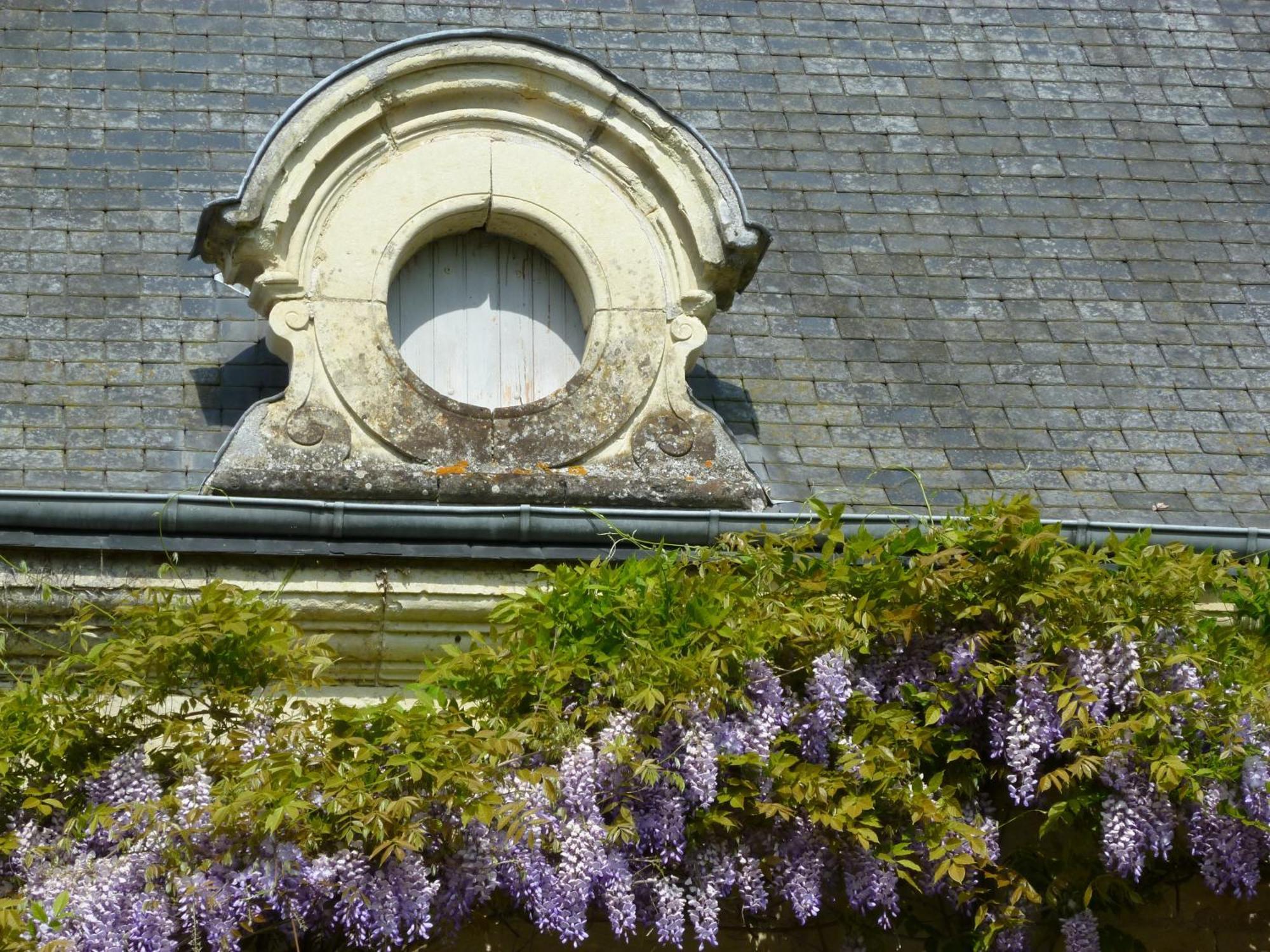 Bed and Breakfast Manoir De Boisairault Le Coudray-Macouard Zewnętrze zdjęcie