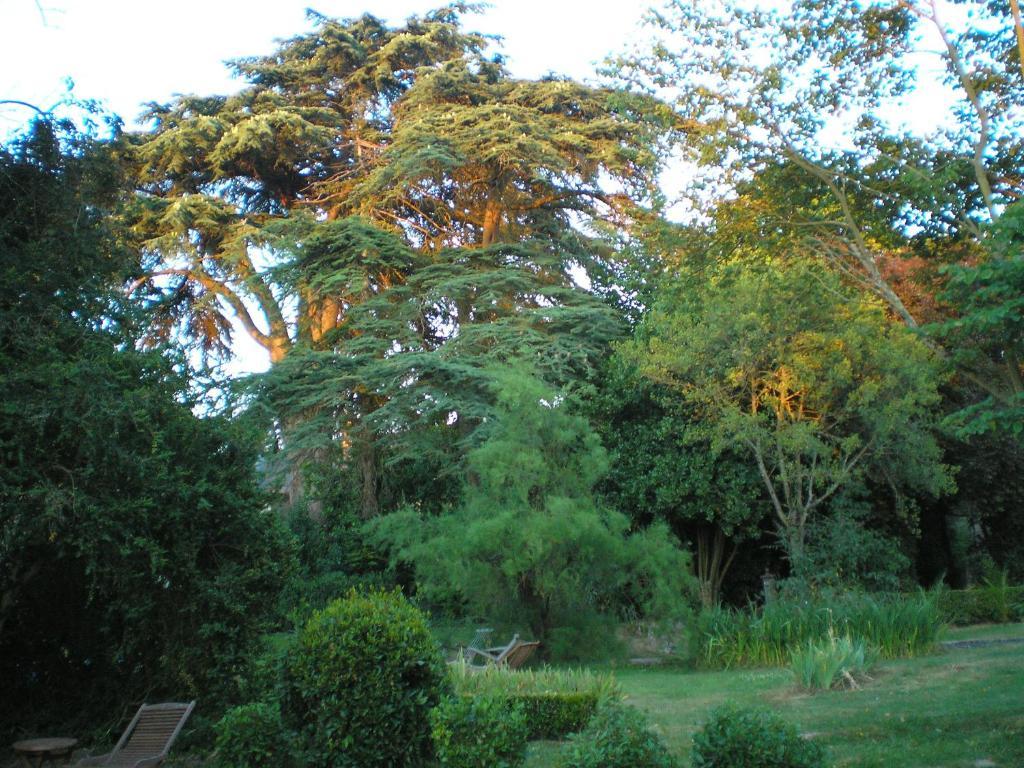 Bed and Breakfast Manoir De Boisairault Le Coudray-Macouard Zewnętrze zdjęcie
