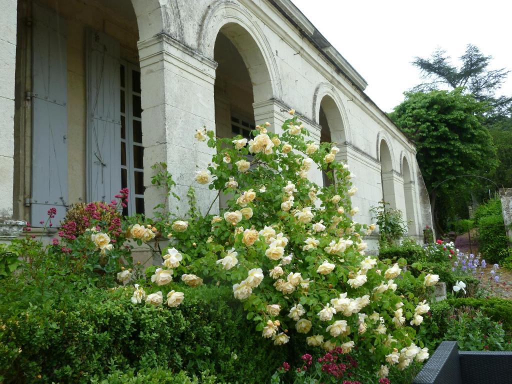 Bed and Breakfast Manoir De Boisairault Le Coudray-Macouard Zewnętrze zdjęcie